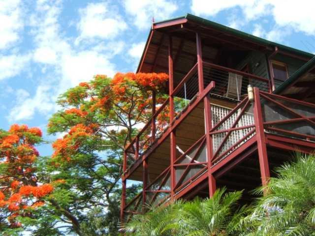 Maleny Tropical Retreat Bed and Breakfast Eksteriør billede