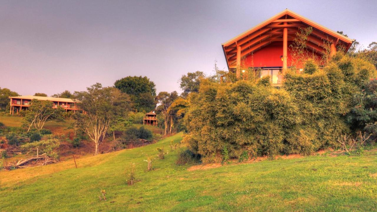 Maleny Tropical Retreat Bed and Breakfast Eksteriør billede
