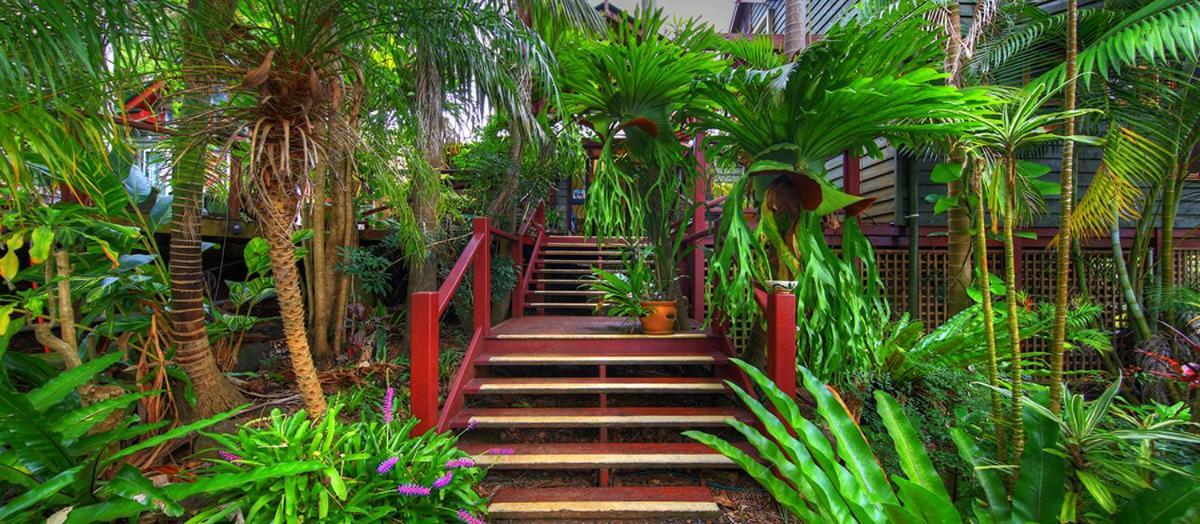 Maleny Tropical Retreat Bed and Breakfast Eksteriør billede