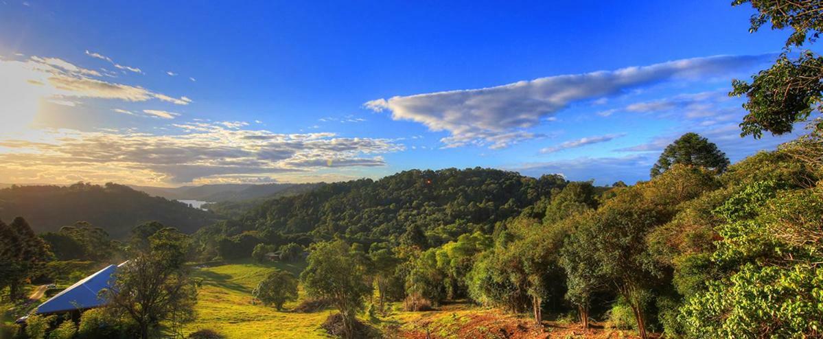 Maleny Tropical Retreat Bed and Breakfast Eksteriør billede